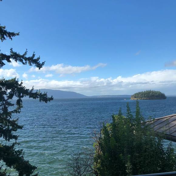 Meet your Posher, Leonel - Picture 1 of 1